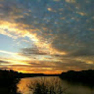 Meet your Posher, Perry